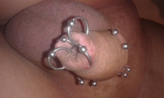 Cock, penis piercings and play - N