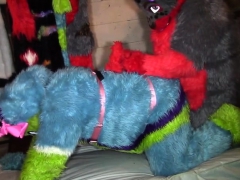 Furry Pegging Time