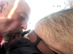 Dad sucking hairy cub